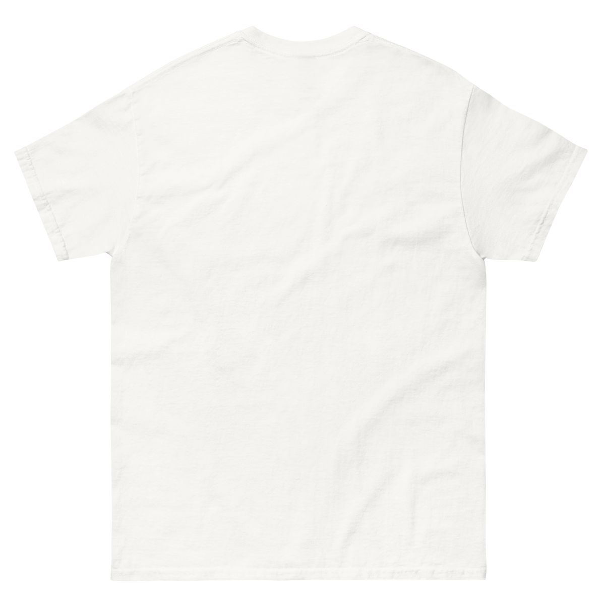 Pass the Pie and the Passive Income graphic tee product mockup-back-Product mockup
